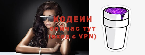 соль ск Арсеньев
