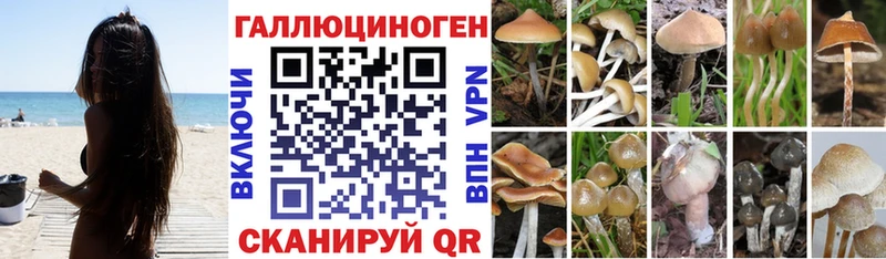 Галлюциногенные грибы мицелий  Североморск 